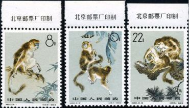 特60 金丝猴